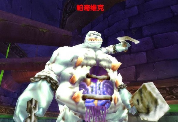 战士与野德：魔兽世界中的战术选择与装备平衡